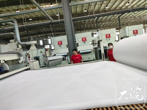 牢記殷殷囑托 勇闖改革新路 界首產紡織材料能“上雪山下火?！? />
</a>
<span><a href=